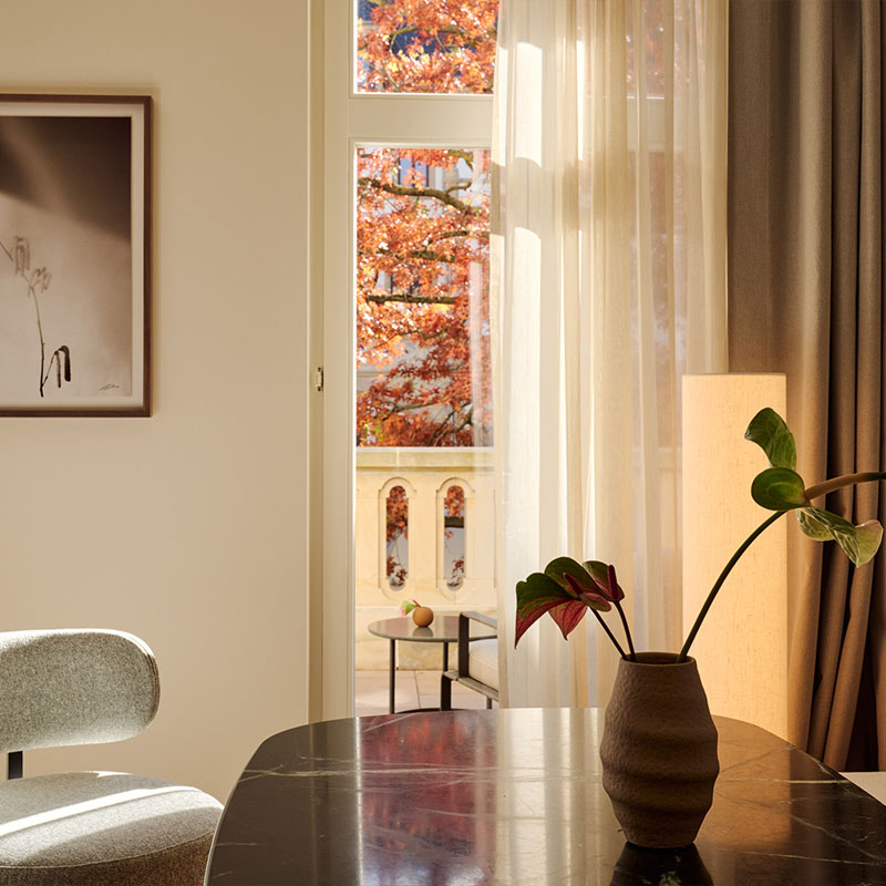 Deluxe Terrace Room