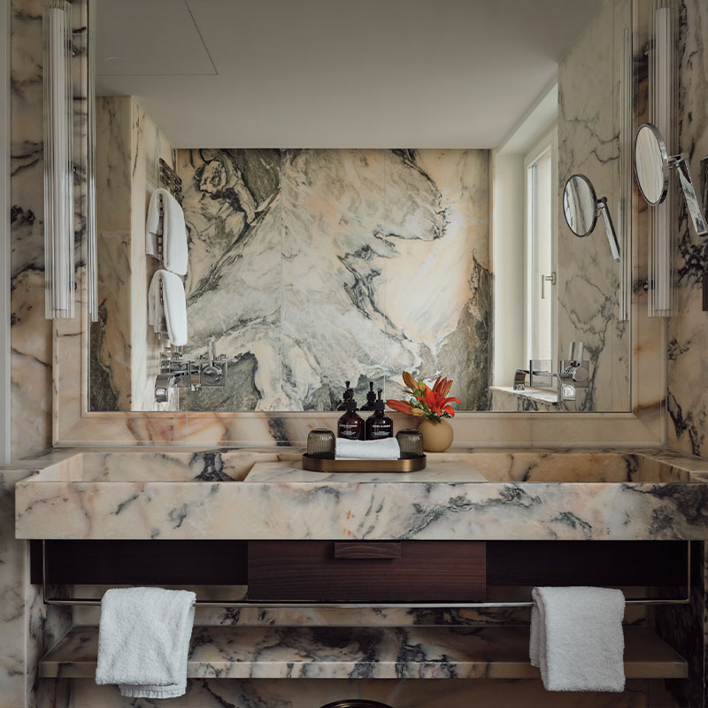 Signature Suite - The Artist