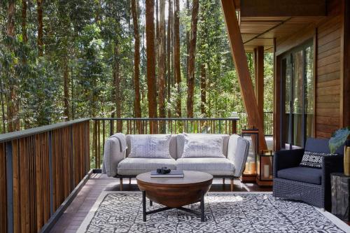 Ingagi Lodge