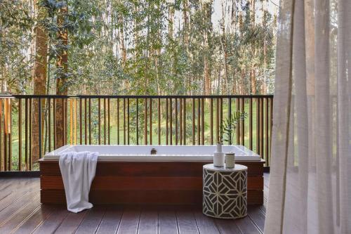 Ingagi Lodge