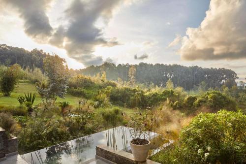 Silverback lodge