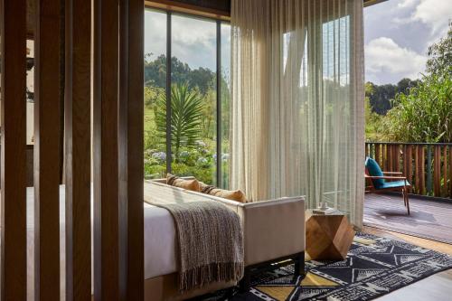 Silverback lodge