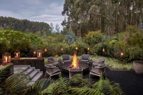 Silverback lodge