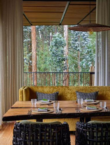 Silverback lodge