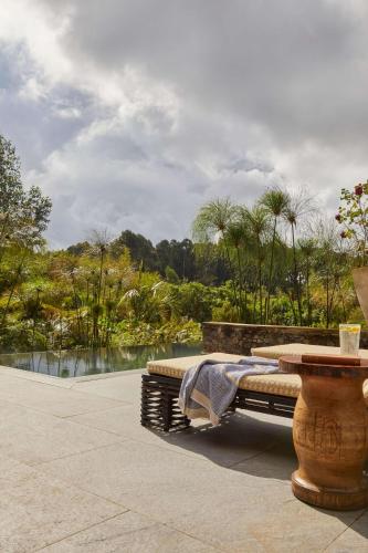 Silverback lodge