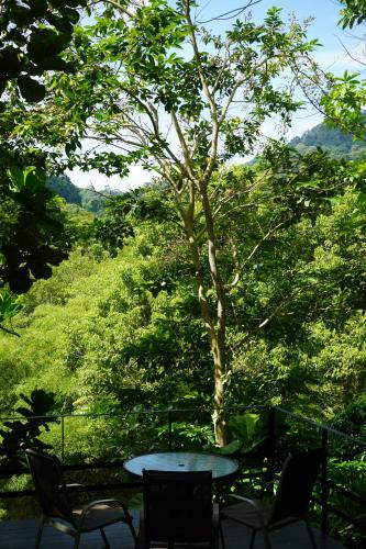 Greenfront Family Villa