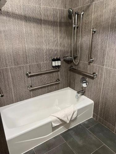 ADA Studio Suite | King + Queen Sofa Sleeper + Tub