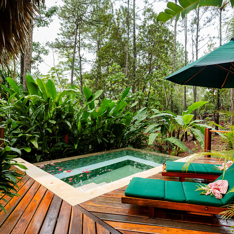 Luxury Cabana 
