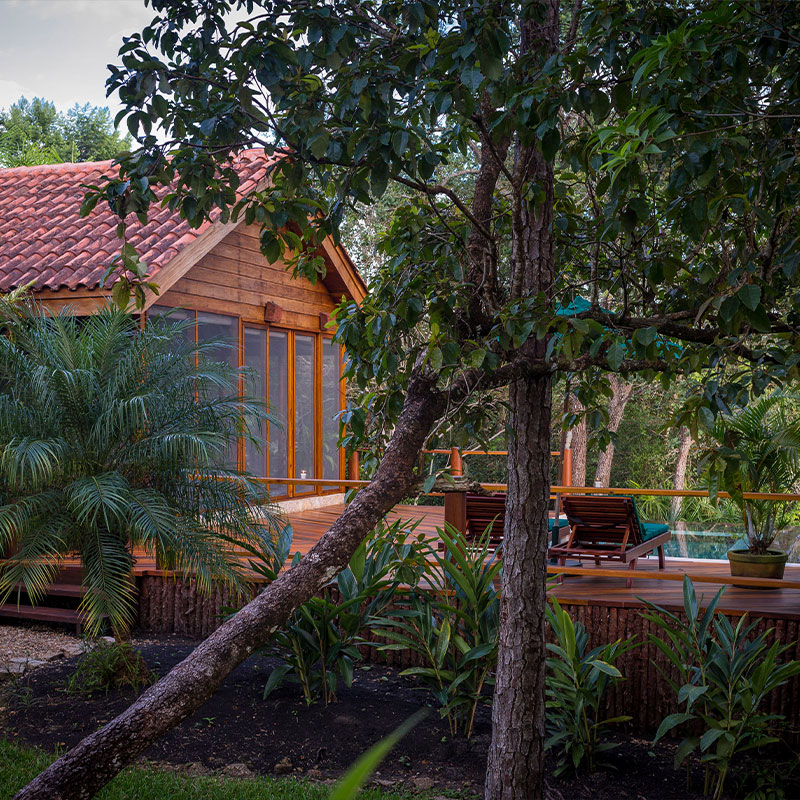 The Enchanted Cottage