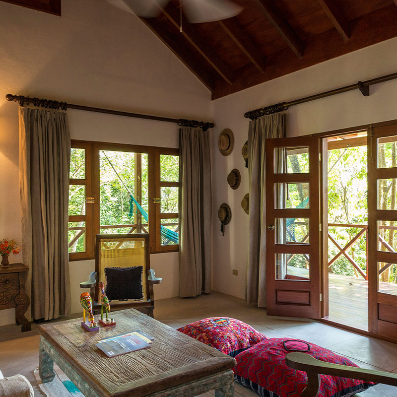 Rainforest Junior Suite 