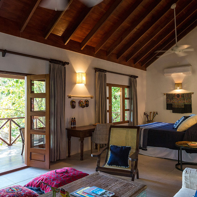 Rainforest Junior Suite 