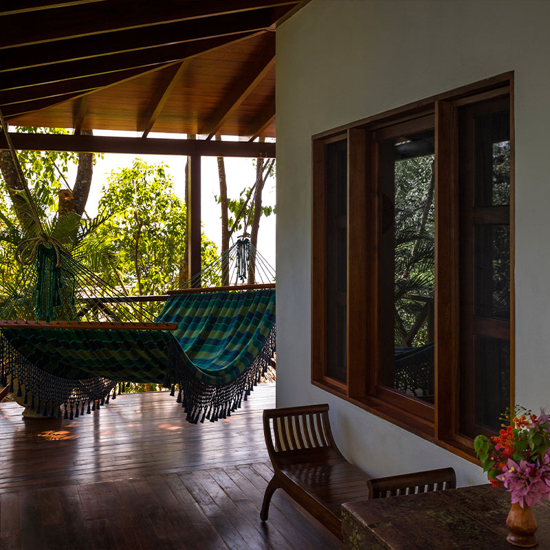 Rainforest Junior Suite 