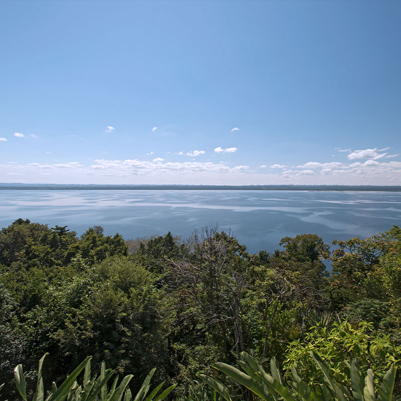 Lakeview Suite