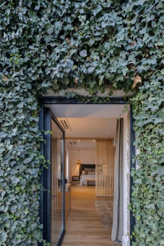 Suite with Terrace