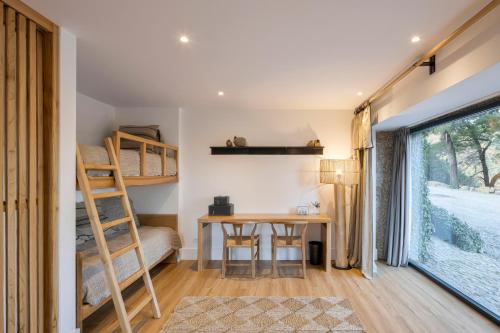Suite with Terrace