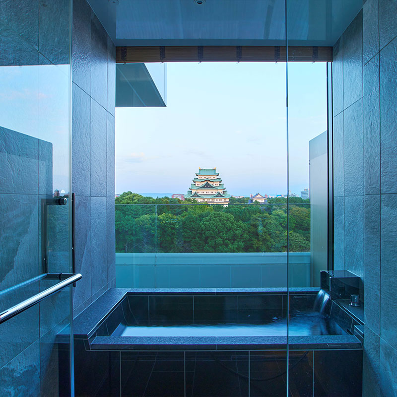 Luxury Castle View Twin