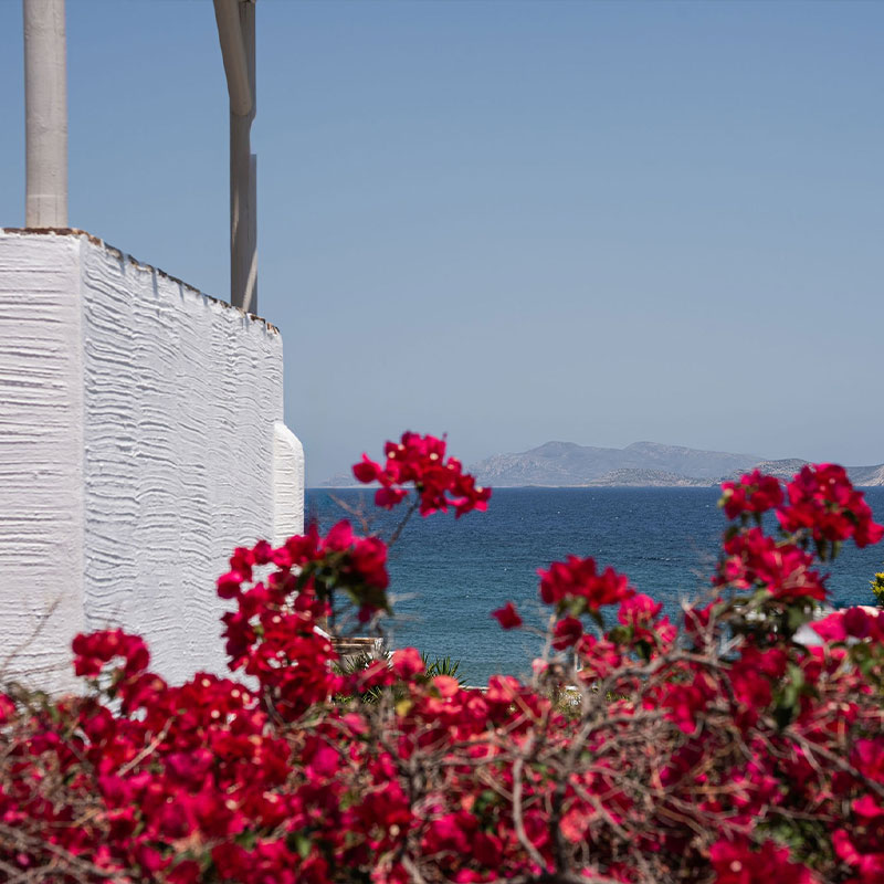 Premium Sea View