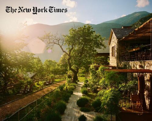 Junior Suite with Terrace