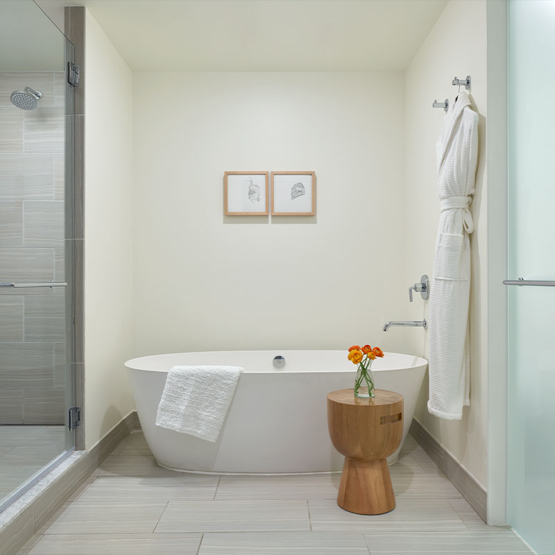 Aspen Suite