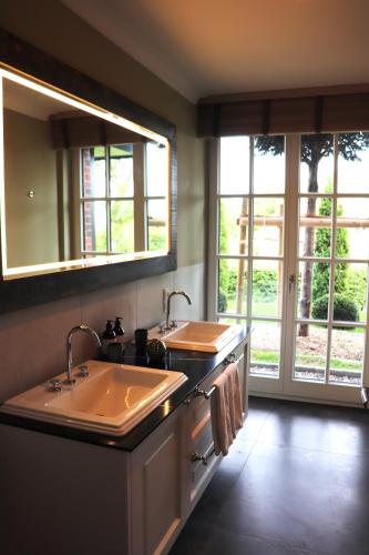 Junior Terrace Suite