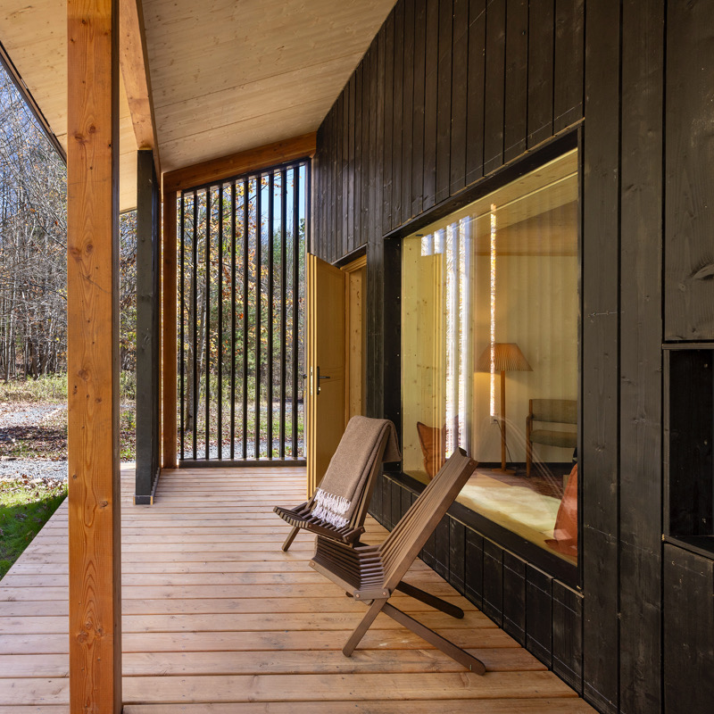Pine Suite
