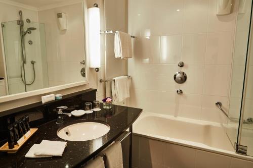 Deluxe Plus Room