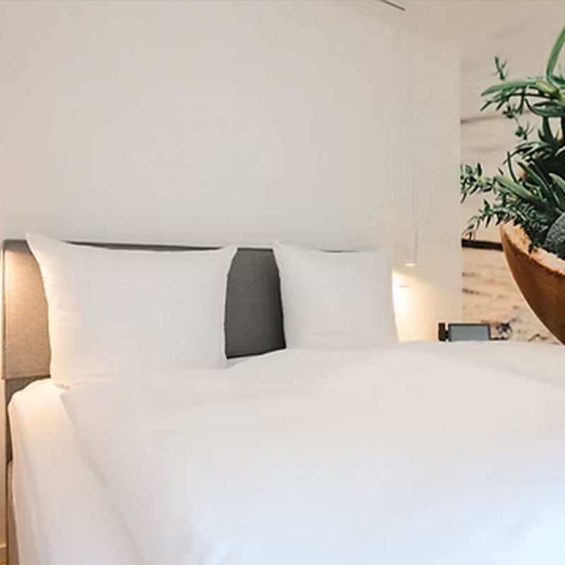 Deluxe Terrace Suite