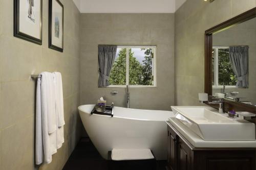 Magenta Room with complimentary High Tea, Room Upgrade based on availability, Specialty Dining Experience, Guided Tea Bush Walk and Tea Factory Visit