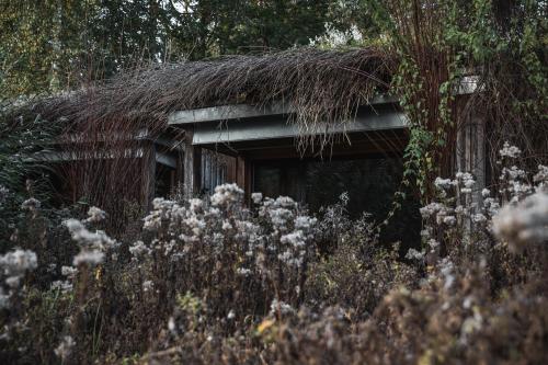 Hut (2 Adults)