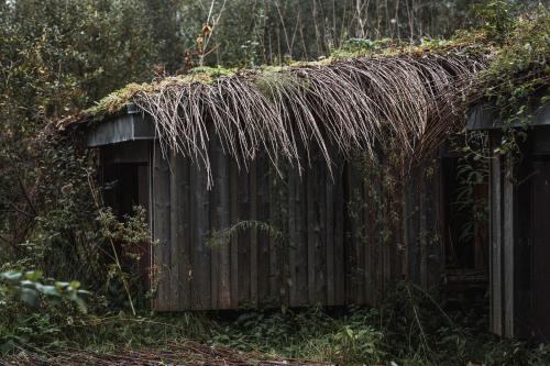Hut (2 Adults)