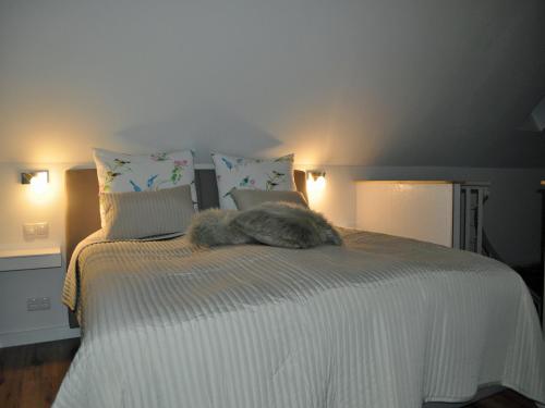 Duplex Studio