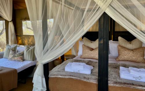 Superior Tented Suite