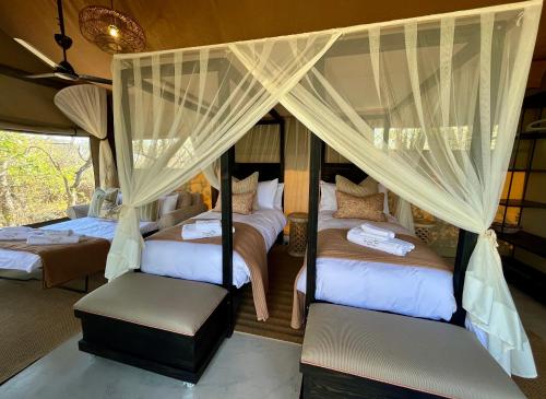Superior Tented Suite