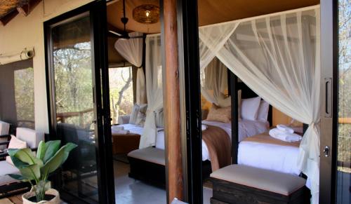 Superior Tented Suite