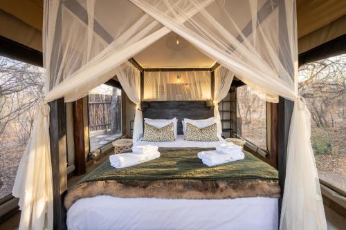 Luxury Tented Suite