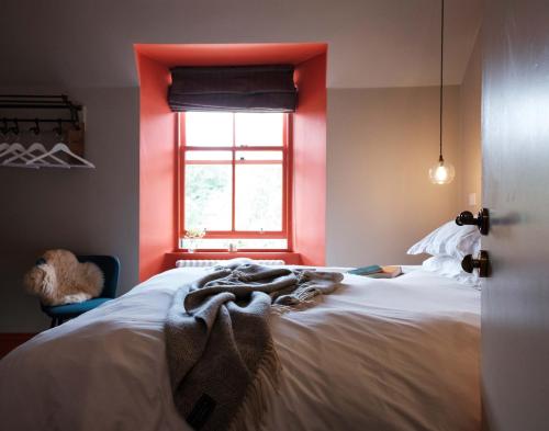 Cozy Room