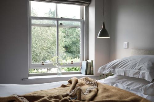 Cozy Room