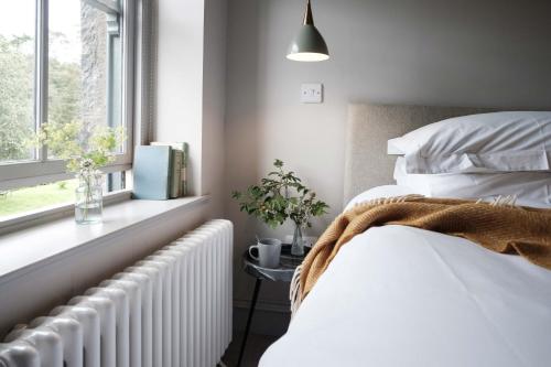 Cozy Room