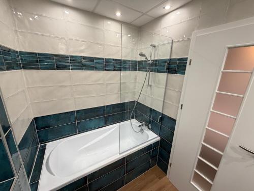 One-Bedroom Deluxe Apartment