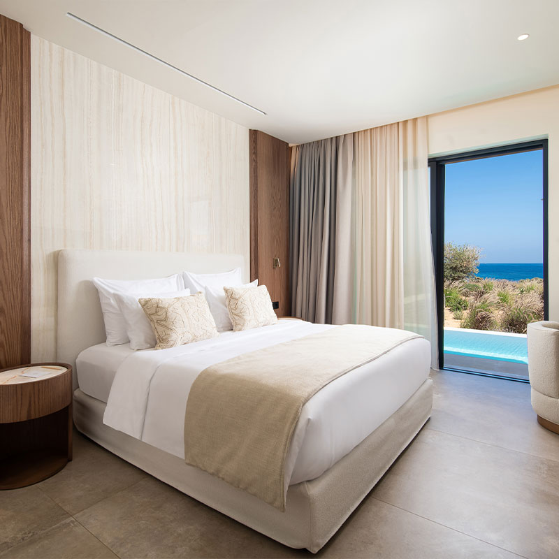 Vione Suite With Pool & Sea View