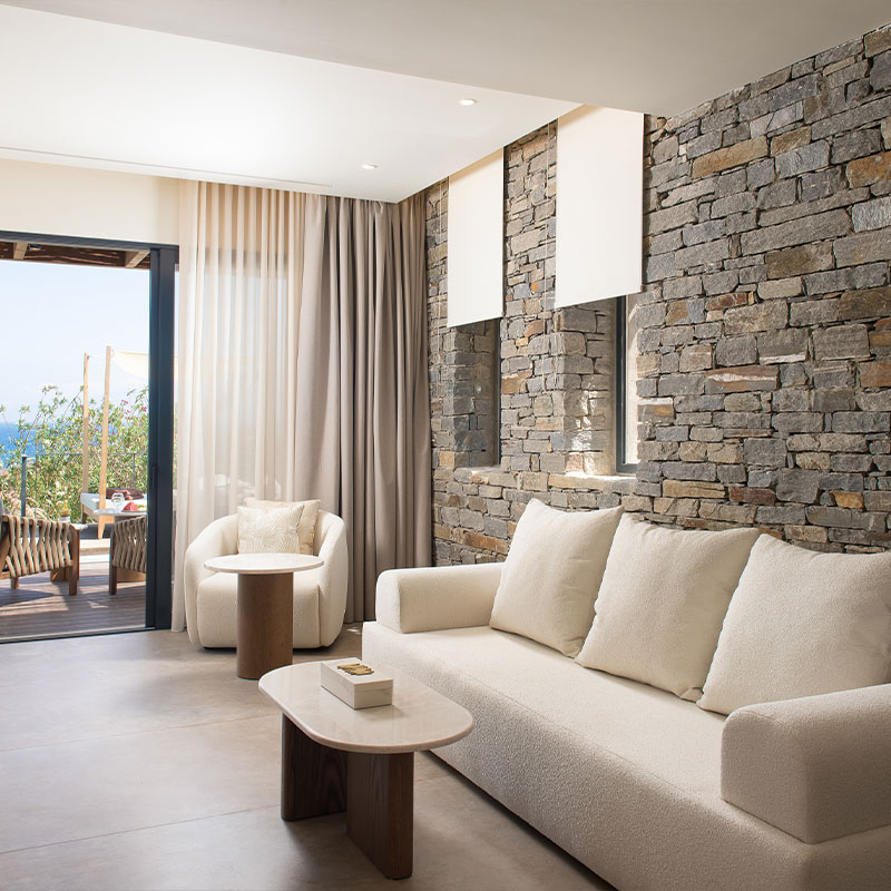 Vione Suite With Pool & Sea View