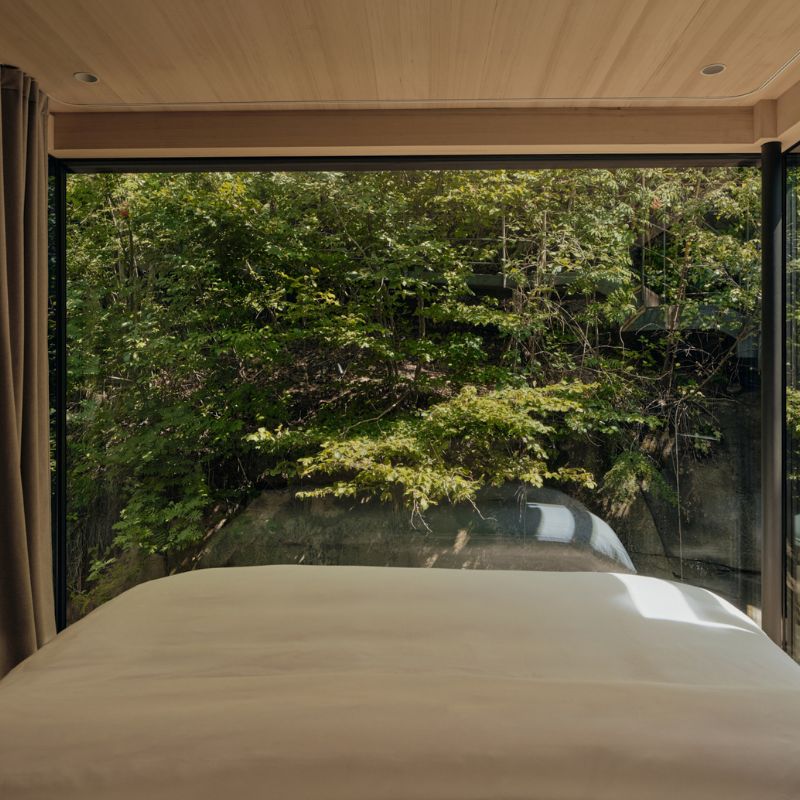 Forest Room