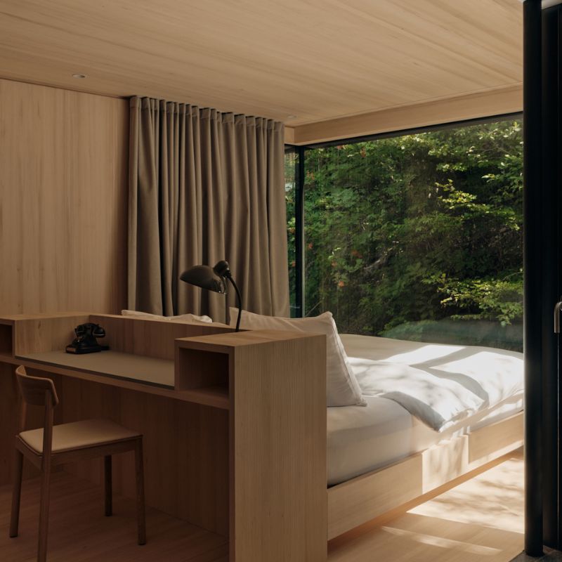 Forest Room