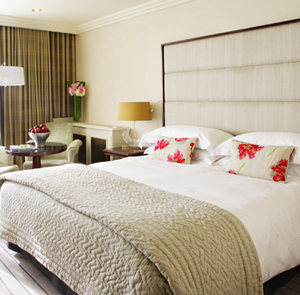 Classic Room - 1 Queen Bed 