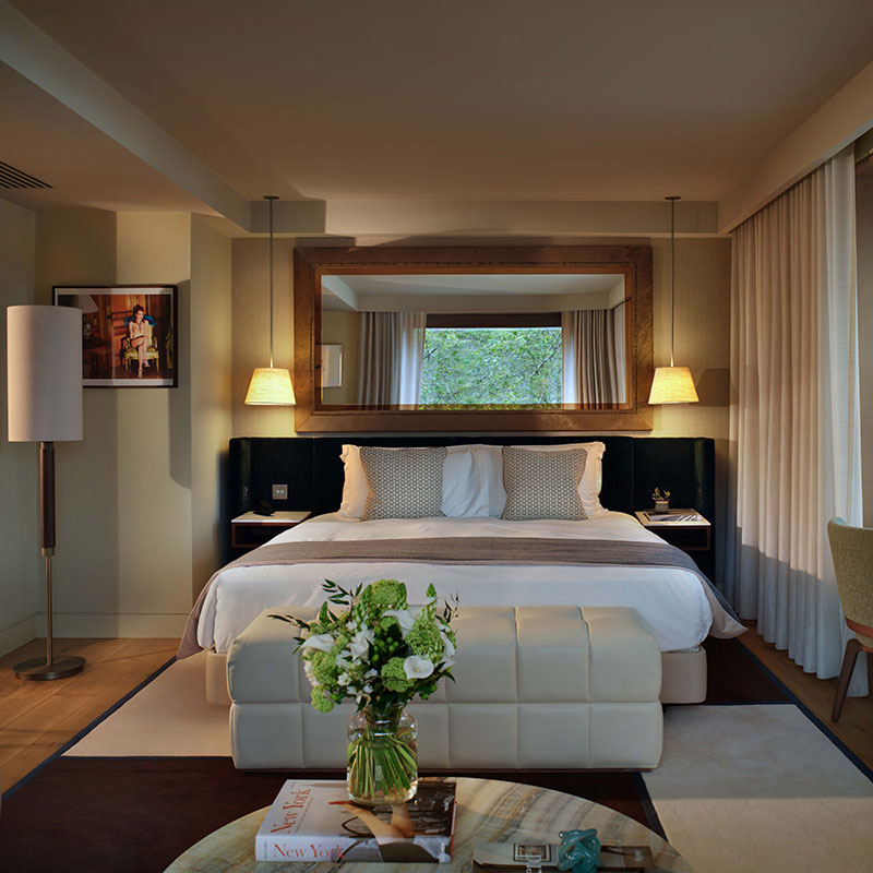 Studio Suite- 1 King Bed