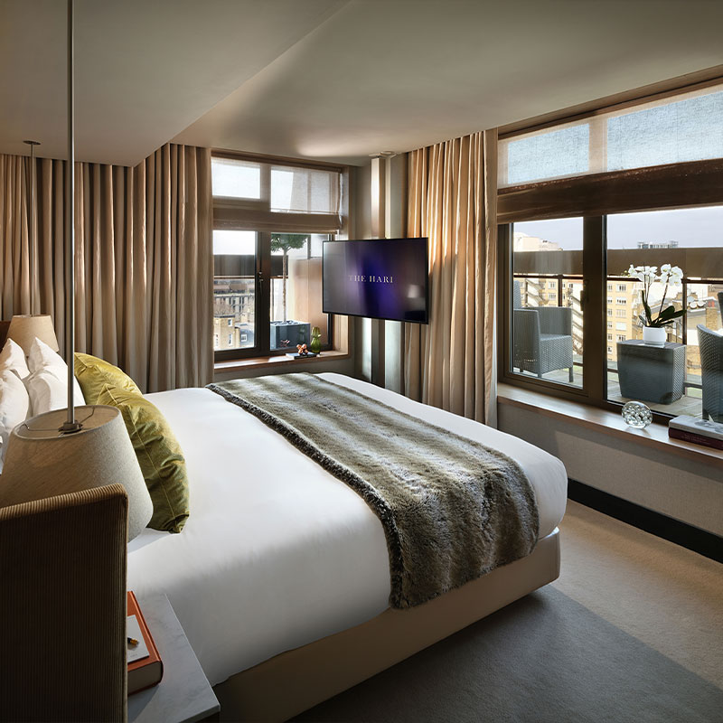Hari Suite
