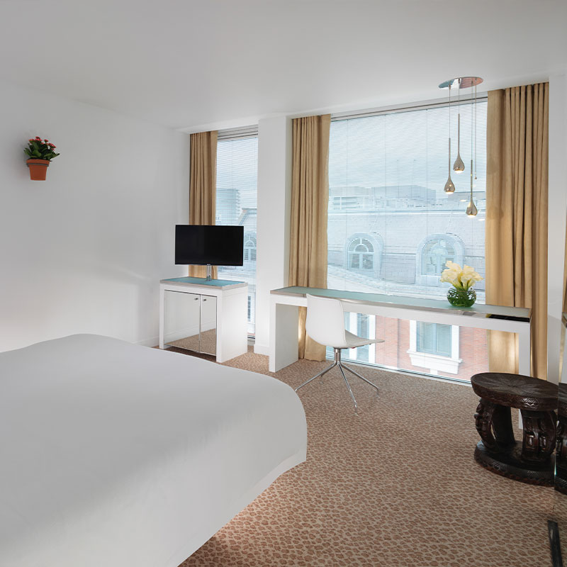 Standard Room - 1 Queen Bed