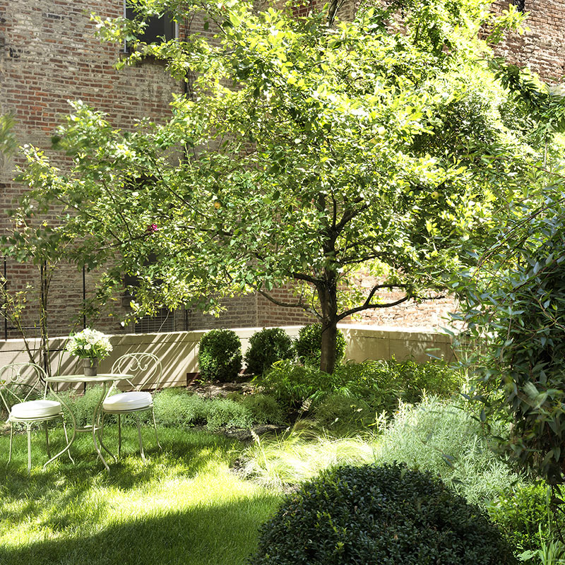 Meadow Suite