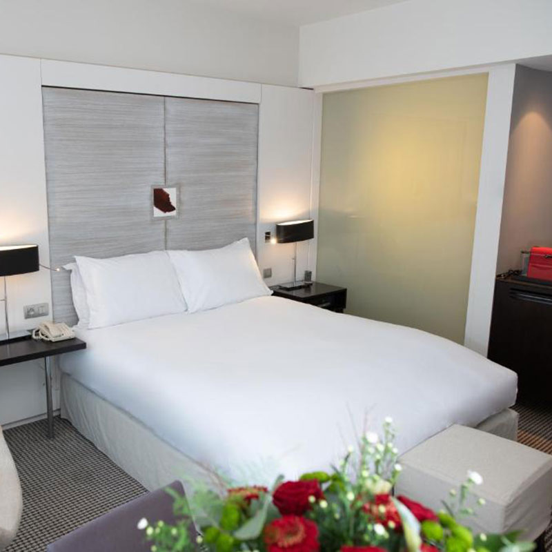 Superior Room - 1 Queen Bed