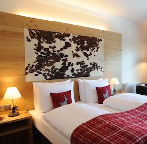 Horn Room - 2 Twin Beds 